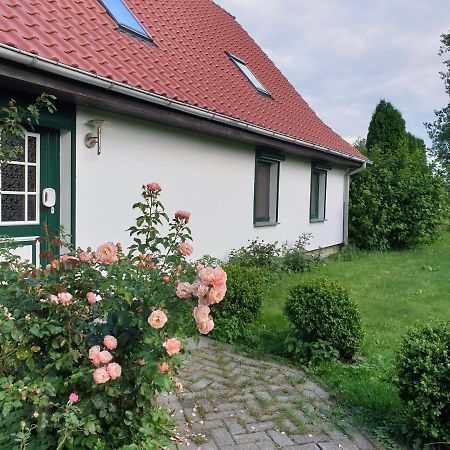 Oeko-Ferienhaus Rappin Luaran gambar
