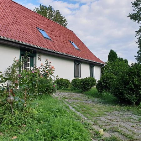 Oeko-Ferienhaus Rappin Luaran gambar