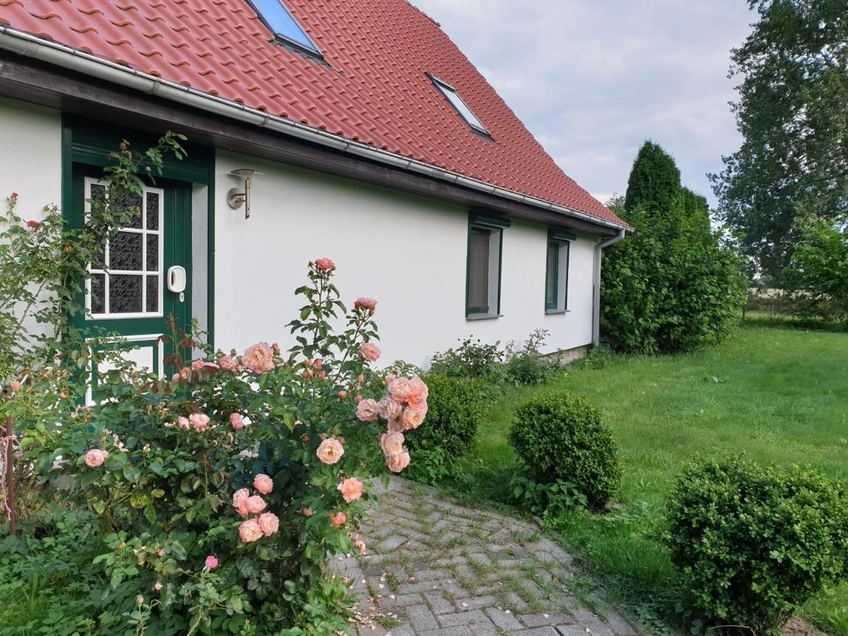 Oeko-Ferienhaus Rappin Luaran gambar