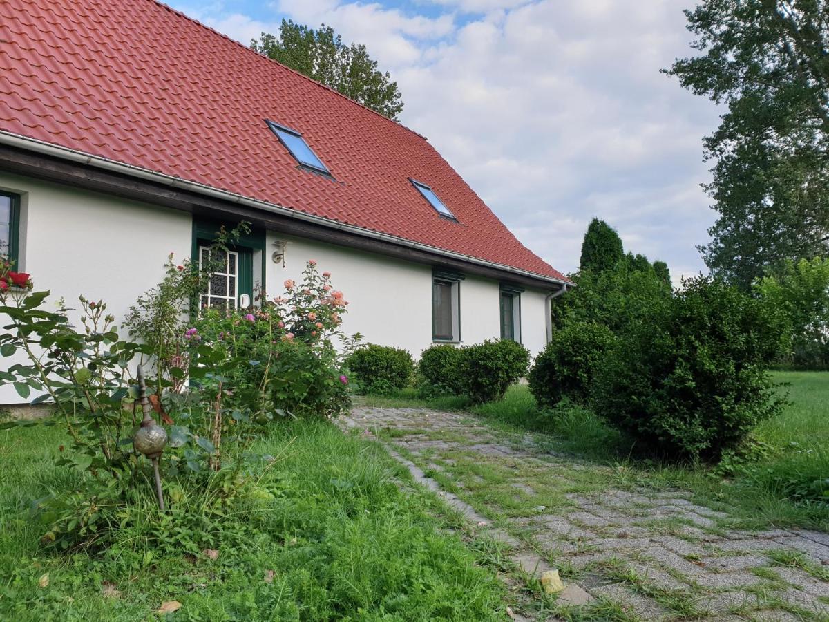 Oeko-Ferienhaus Rappin Luaran gambar